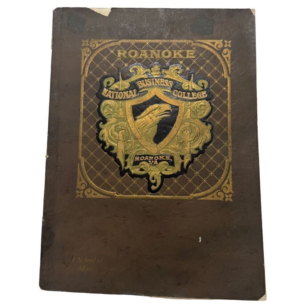 Roanoke National Business College Virginia VA vintage 1927 Blue Ridge Mountains